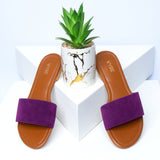 Vybe- Swate Slide-Purple